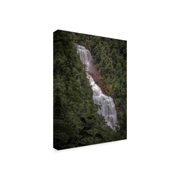 J.D. Mcfarlan 'Whitewater Falls Stream' Canvas Art,14x19